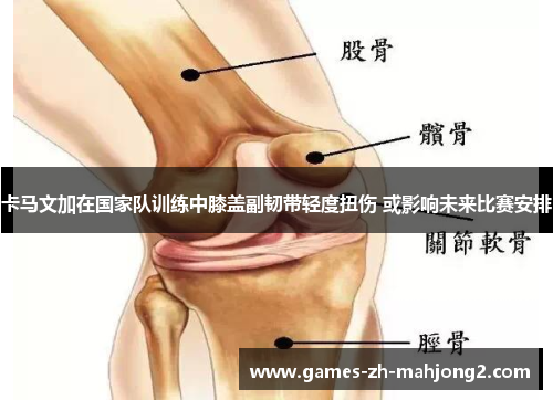 卡马文加在国家队训练中膝盖副韧带轻度扭伤 或影响未来比赛安排