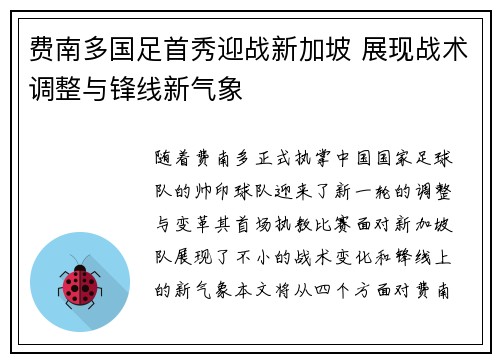 费南多国足首秀迎战新加坡 展现战术调整与锋线新气象